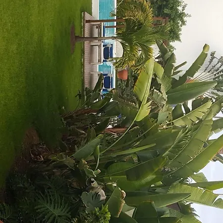 Alsol Nogal (adults Only) * Playa del Inglés